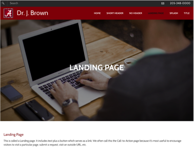 SS of landing page